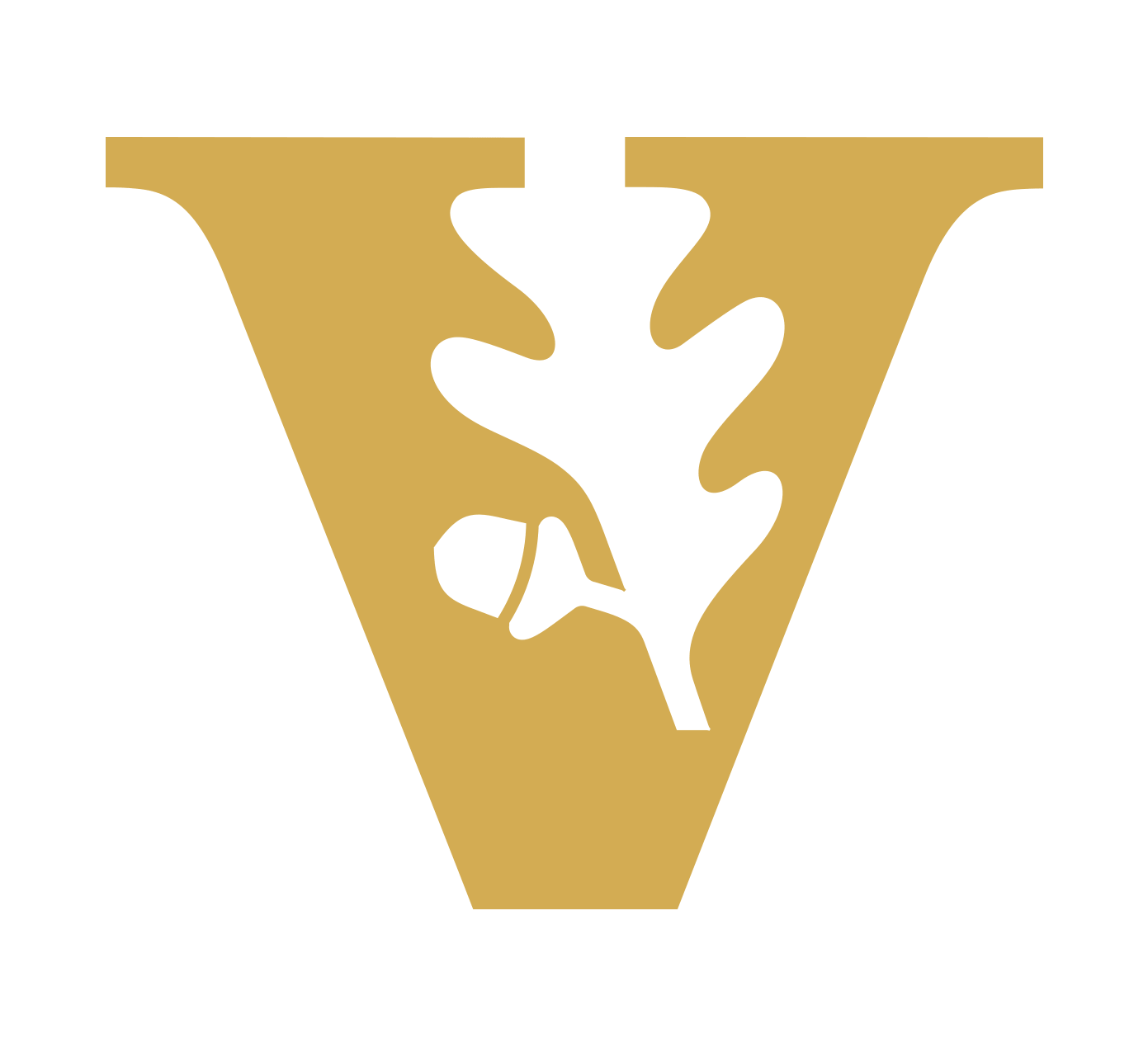 Vanderbilt University